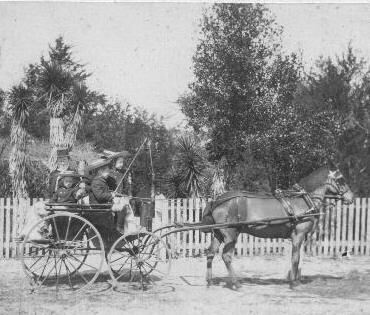 Phelps pony cart, c. 1899